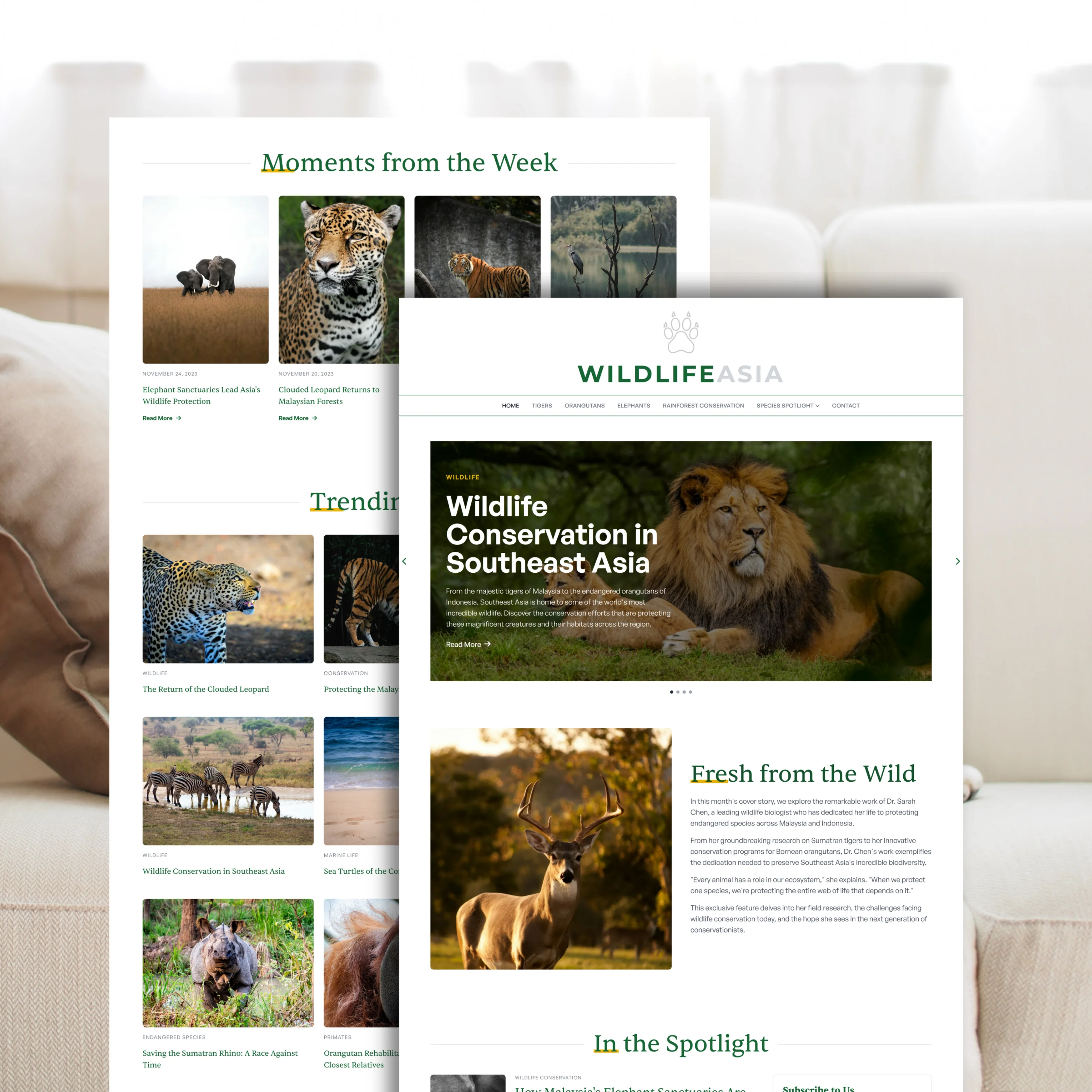 Portfolio website — service page layout with clear hierarchy (sample 3)
